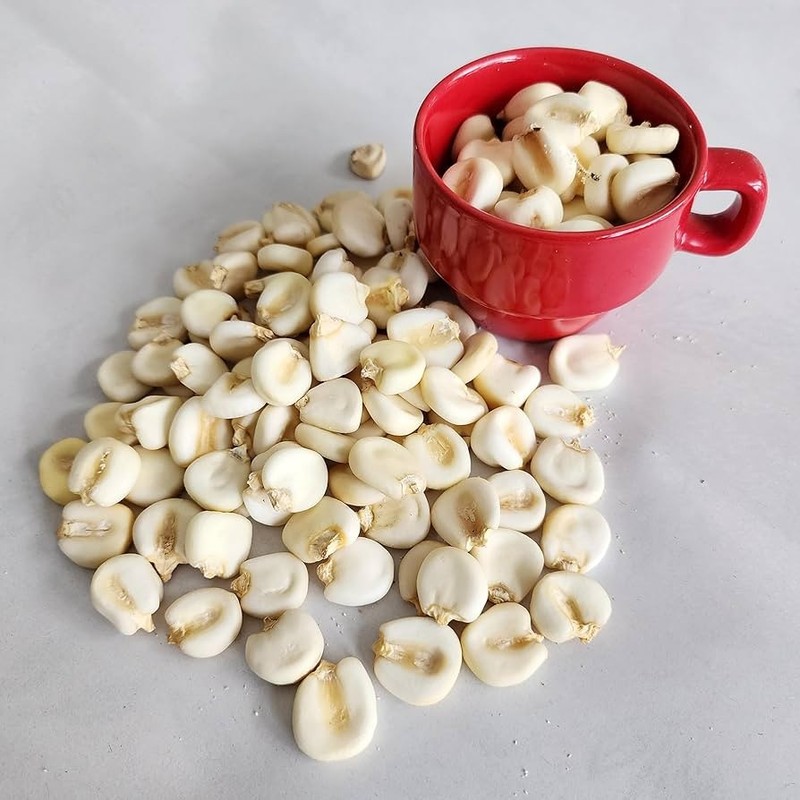 Peruvian Mountain Corn Seeds (30) / Peruvian Maiz Montana / Massive / Rare gallery