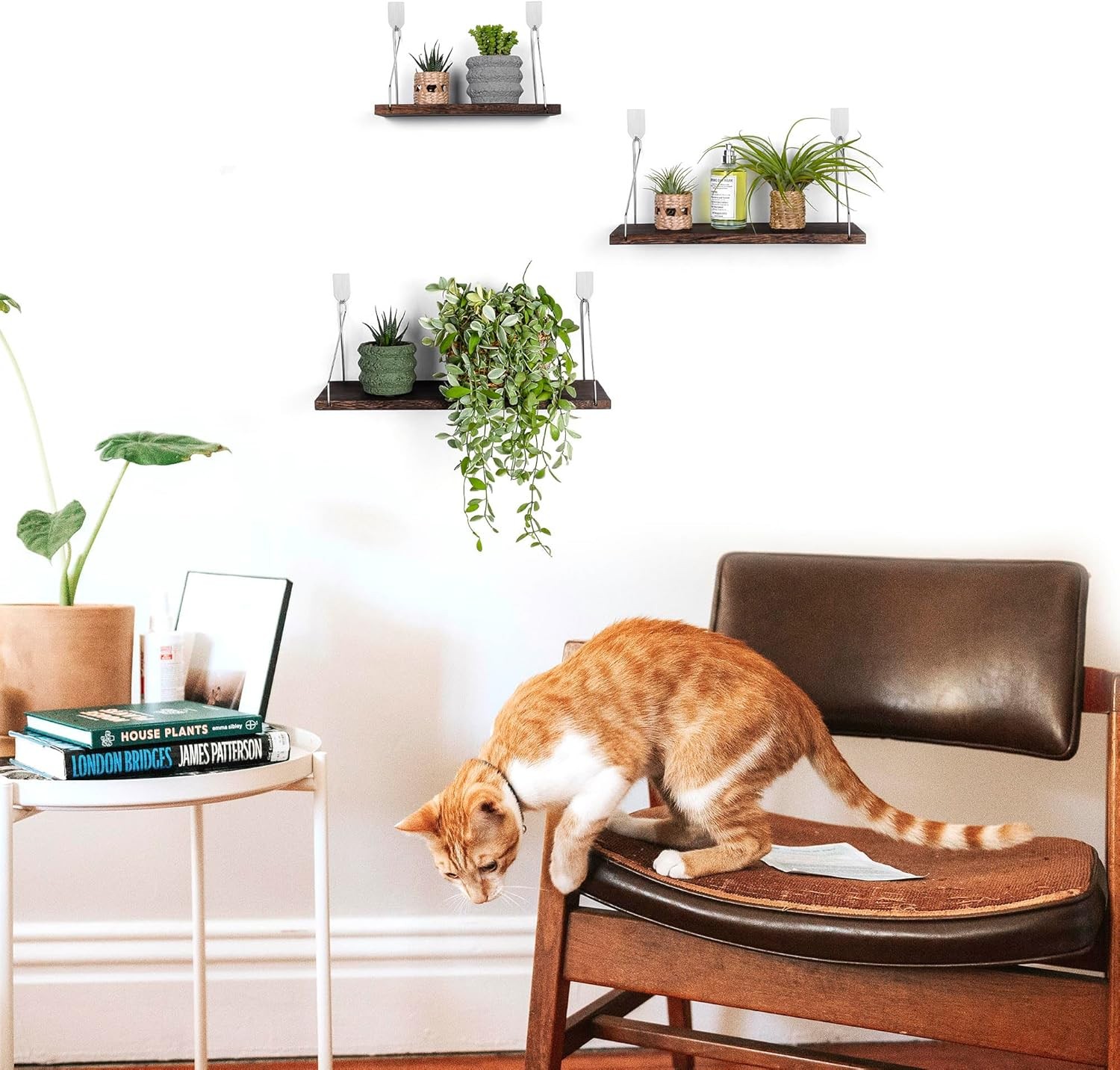 Floating Shelves Set of 3 Rustic Solid Wood Floating Shelf Wall Storage Shelves gallery