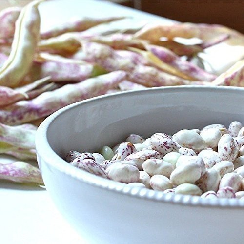 Cranberry Beans - Sproutable, Kosher, Raw, Vegan - by Food To Live gallery