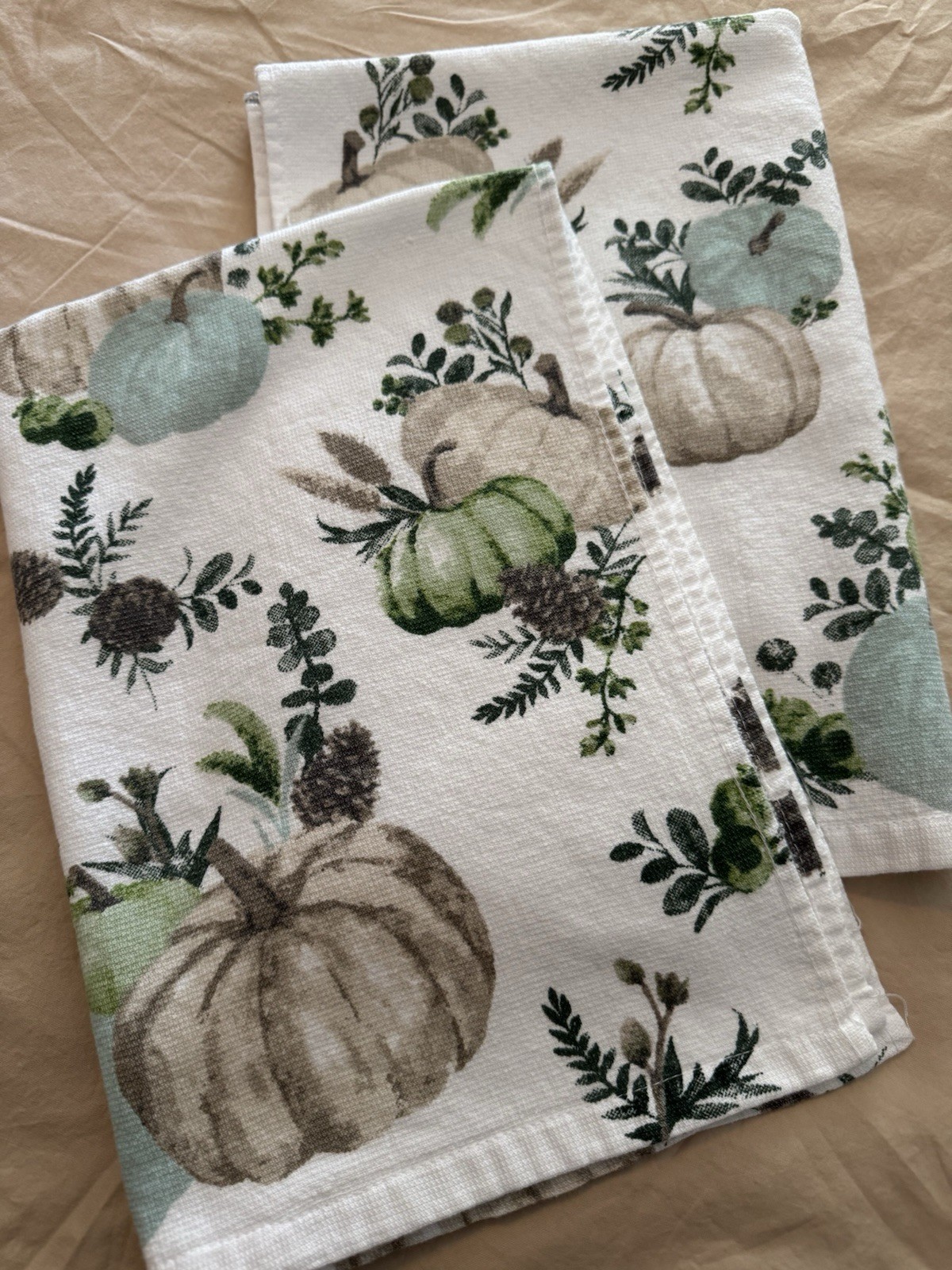 2 Shabby Chic Kitchen Towels Fall Pumpkin White Gray Blue Beige 100% Cotton! gallery