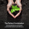 VIVOSUN Plant Food Nutrients Base A(4-0-1) & B(1-4-2) Bundle Set of 8oz gallery