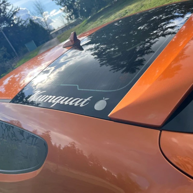 Custom Car Decal - Personalized Text Sticker Window Windshield Truck Bumper Hood gallery