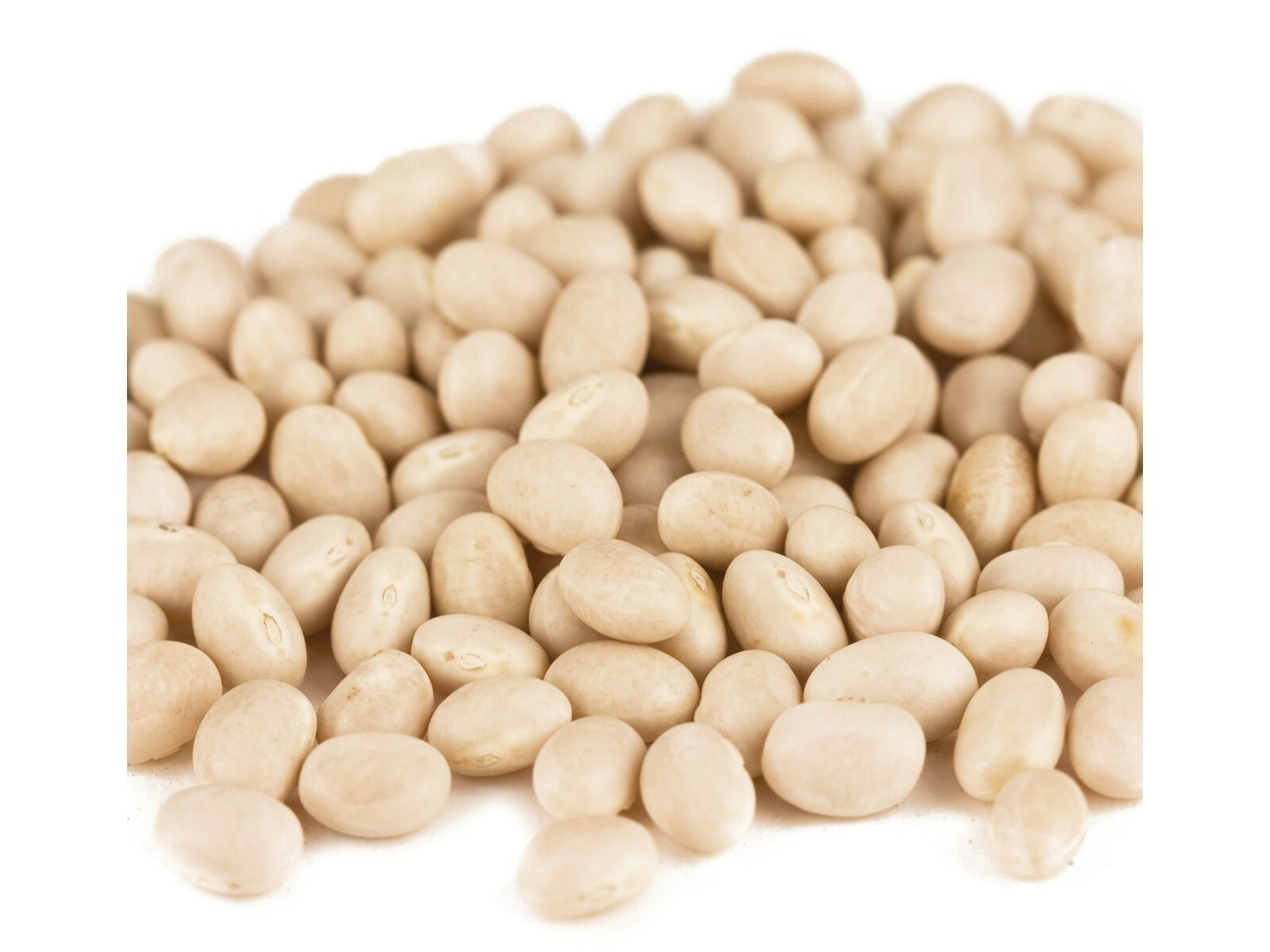 Navy Bean Beans 10 Pounds Free Shipping gallery