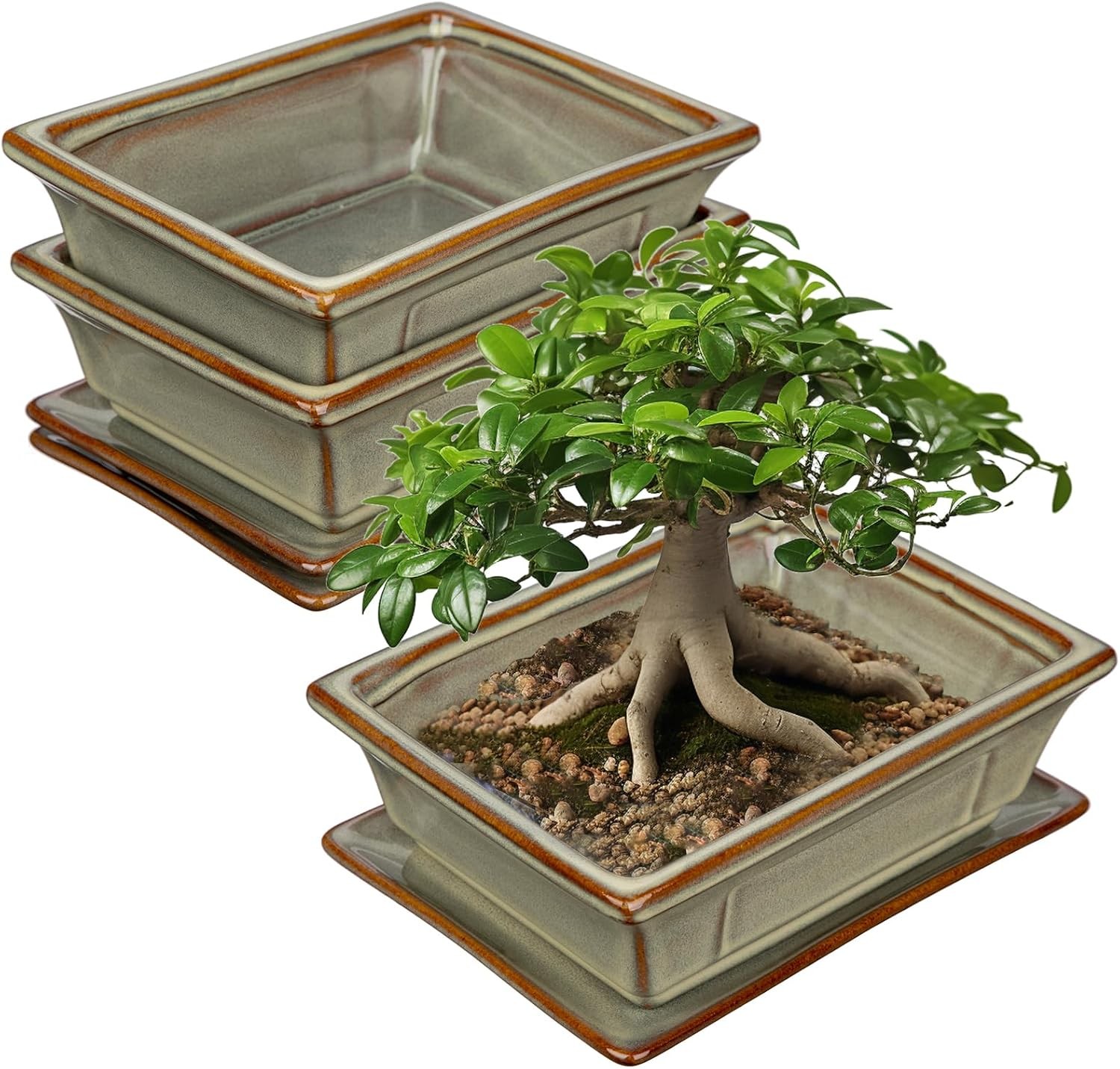 Ceramic Bonsai Pots with Drainage Tray, Set of 2 Rectangular Glazed Bonsai Plant gallery