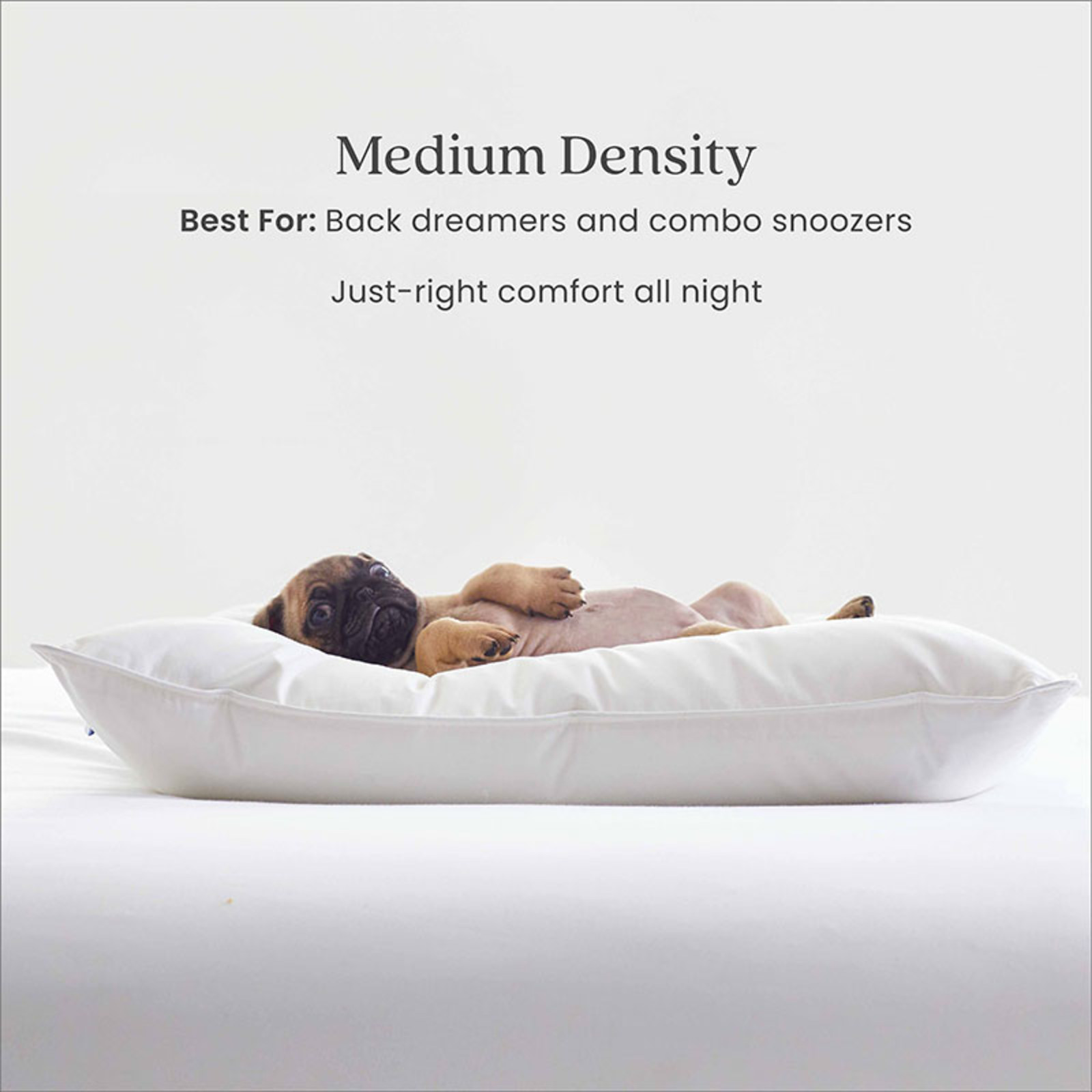 LoftAIRE Down Alternative Chamber Pillow - Medium, Standard... gallery