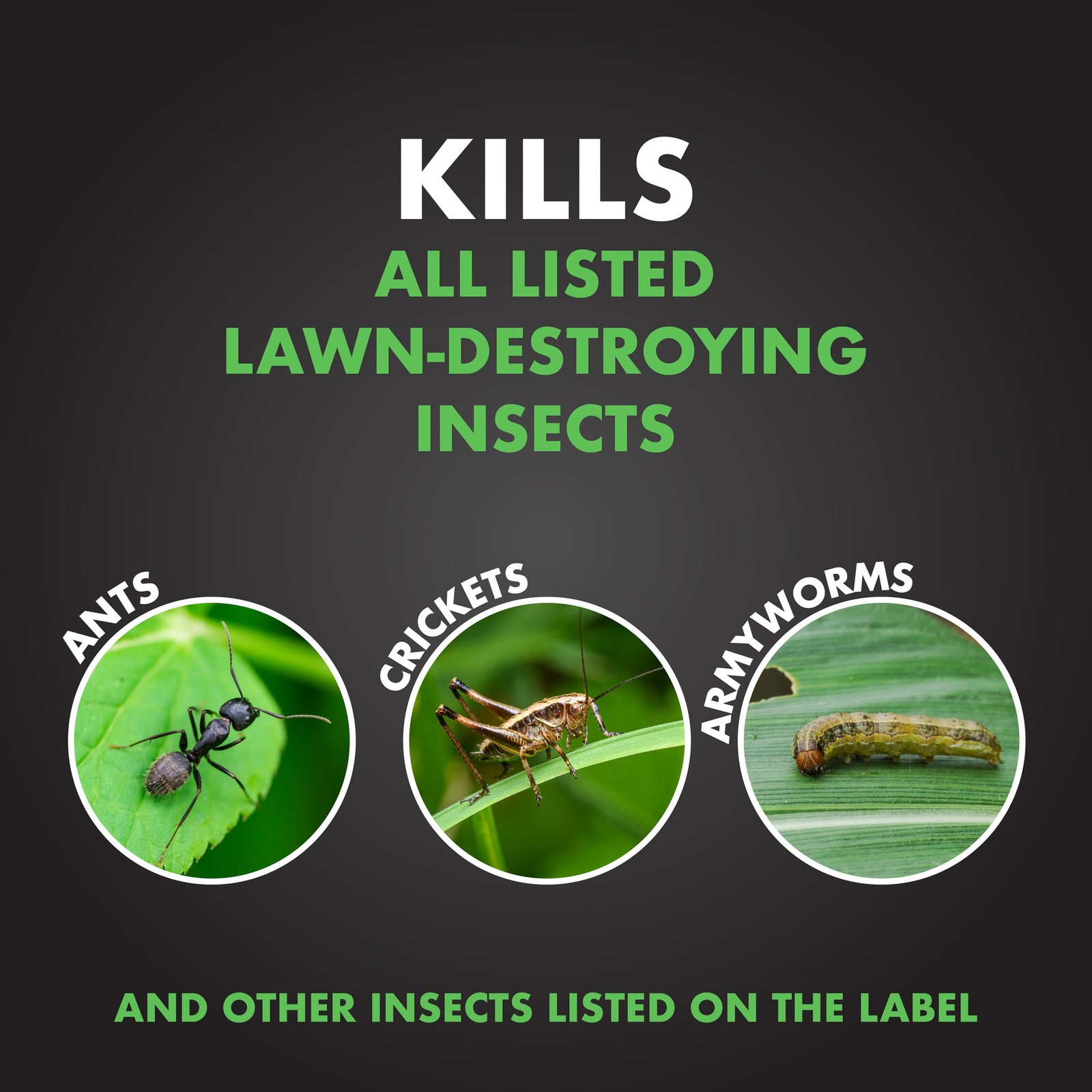 Triazicide Insect Killer for Lawns, Granules Kill Lawn-Damaging Insects, 10 lb gallery
