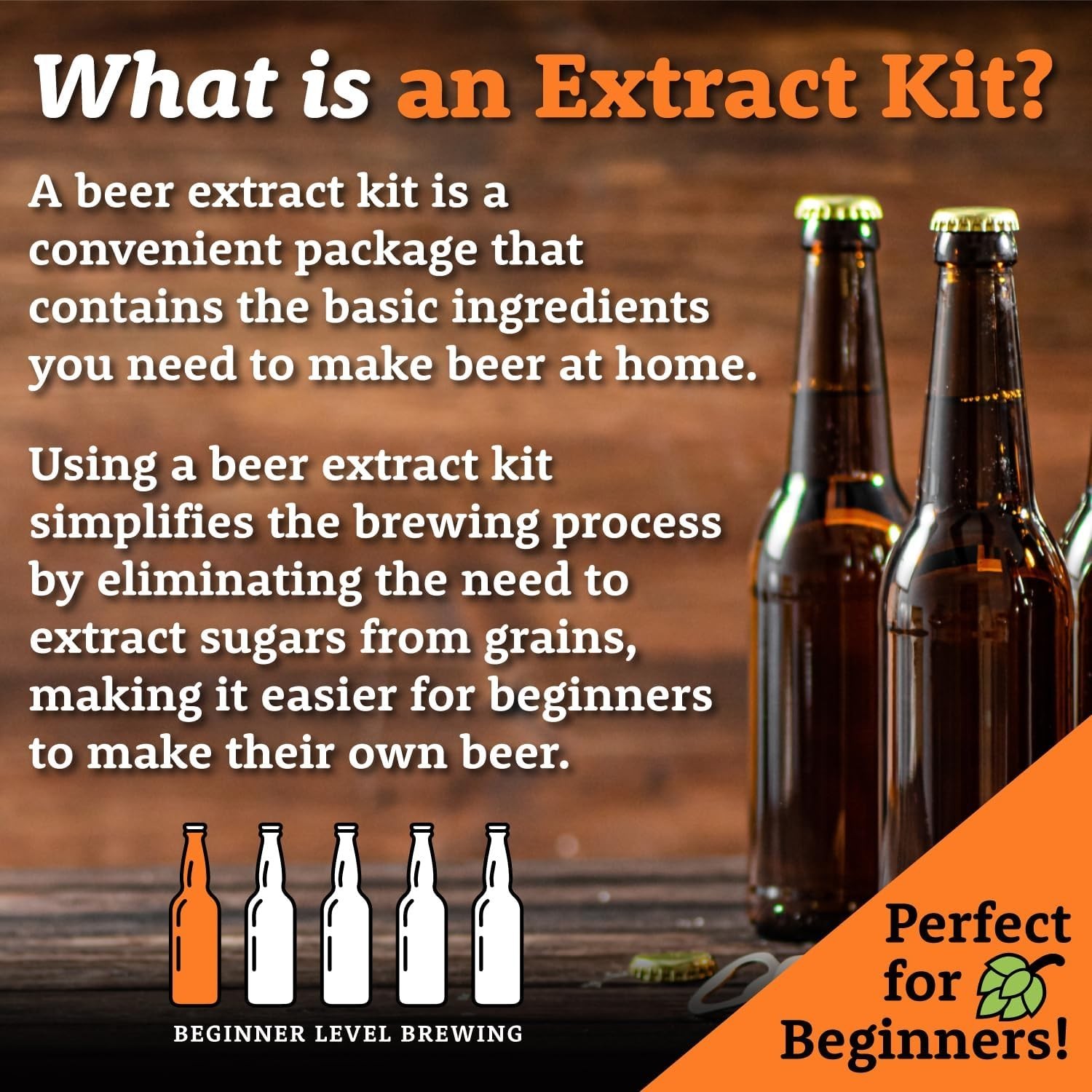 Czech Dunkel Lager Homebrew 5 Gallon Beer Extract Ingredient Kit- My Brew Supply gallery