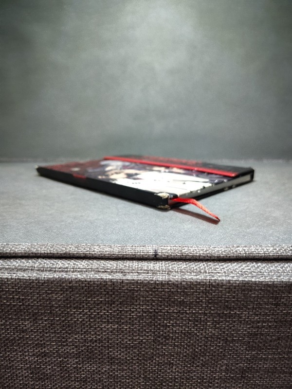 Vampire Knight: 75 Sheets, Lined Journal 20%off2+ gallery