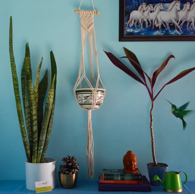 Macrame Plant Hanger Handmade Cotton Rope Hanging Planter for Outdoor gallery