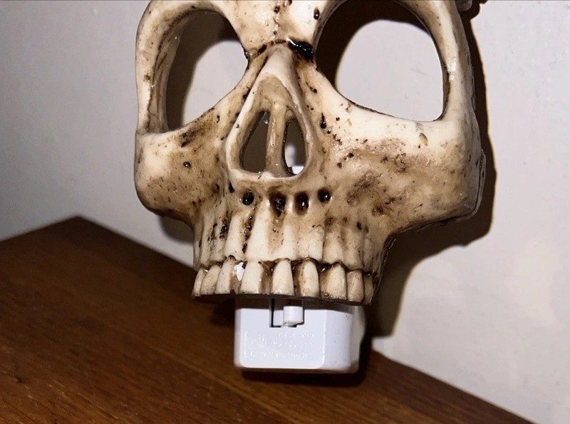 Realistic Skull Skeleton Night Light Halloween Prop Everyday Use Fun Might Light gallery