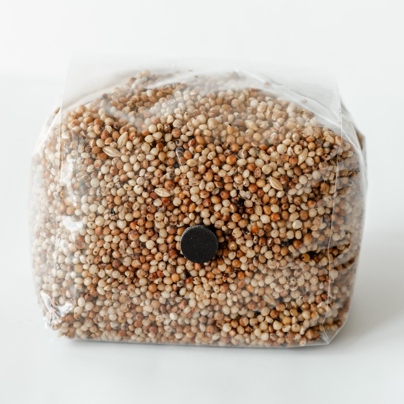 6 Pack | 3lb Milo Sorghum Grain Spawn gallery