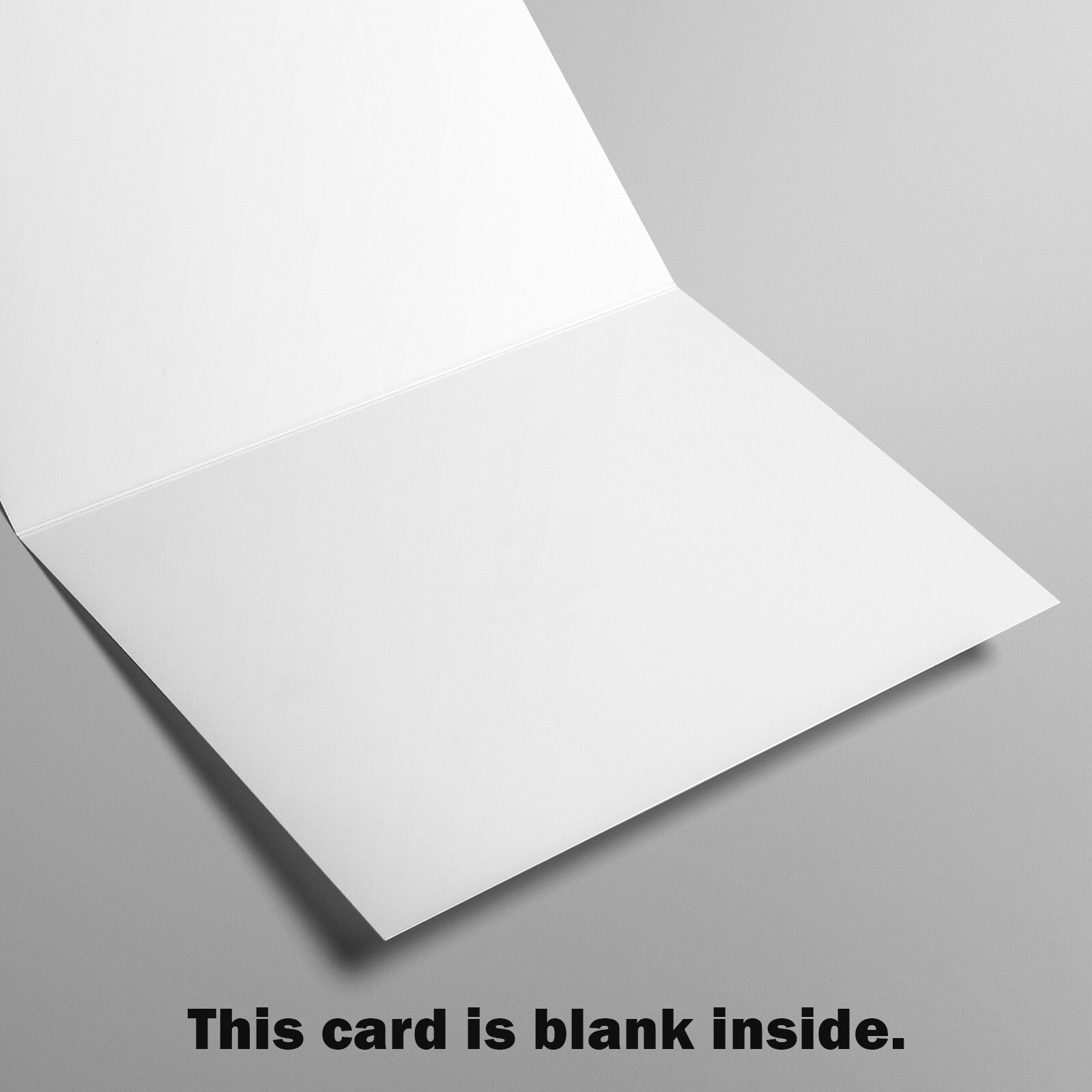 Simple ANYTIME Blank Inside Card, American Flag by Premium Greetings + Envelope gallery