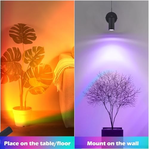 Spot Light with Remote Control Indoor, RGBW Color Changing Wall Light, Black gallery