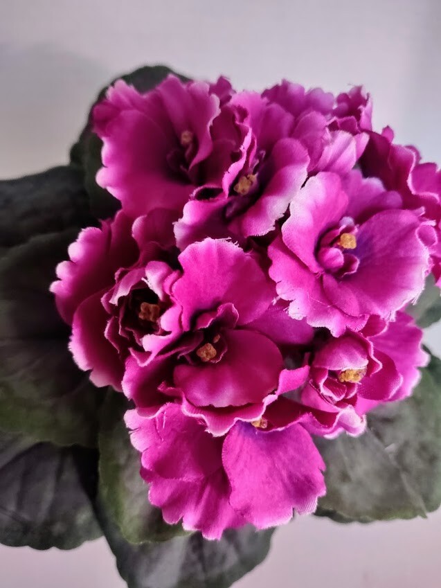 9" Artificial African violet (Fuchsia) without pot gallery