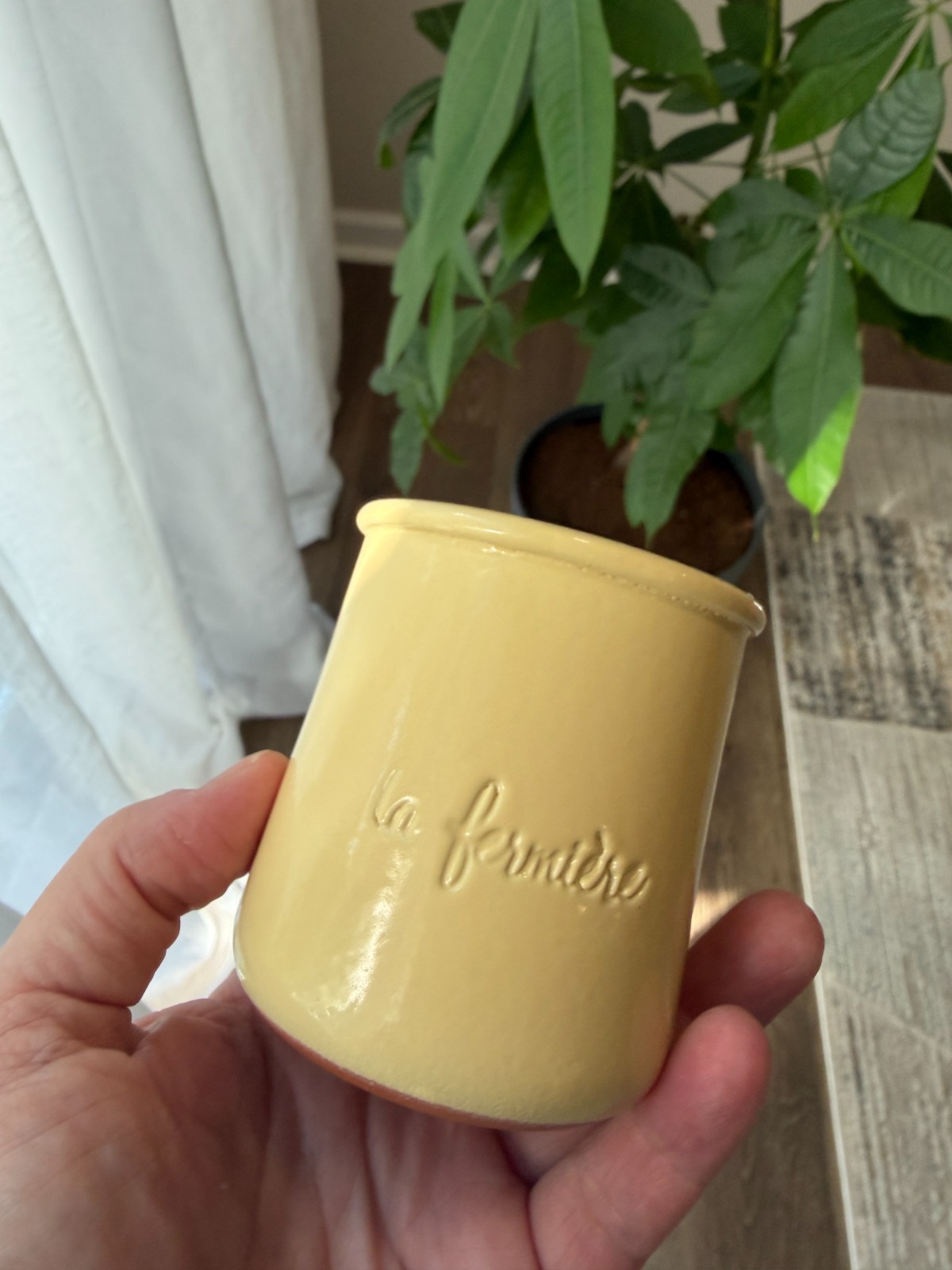 Pastel Limited Edition Sandy Yellow Summer La Fermiere Crock Pot Jar Terracotta gallery