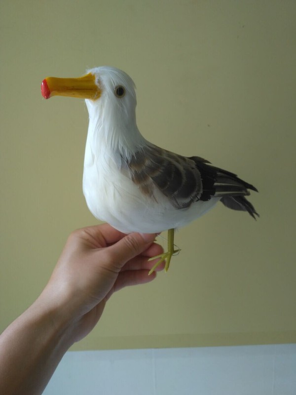 simulation seagull model foam&feather gray standing seagull bird gift about 30cm gallery