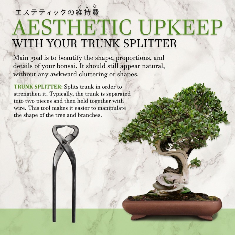 Bonsai Tree Trunk Splitters gallery