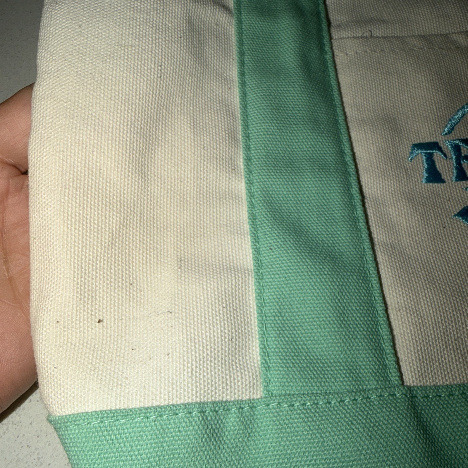 Trader Joe's 2026 Spring Mini Pastel Mint Green Canvas Tote Bag New But Read gallery
