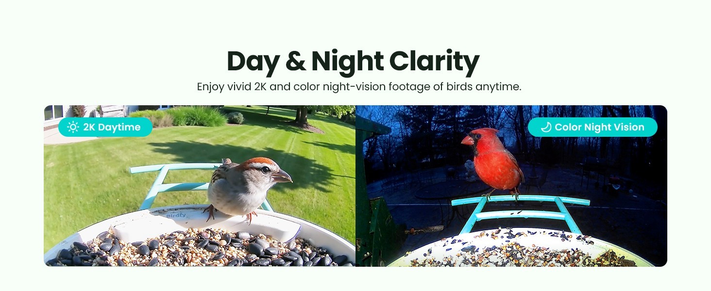NETVUE by Birdfy Smart Bird Feeder with Camera Bird Watching Camera Auto Capture gallery
