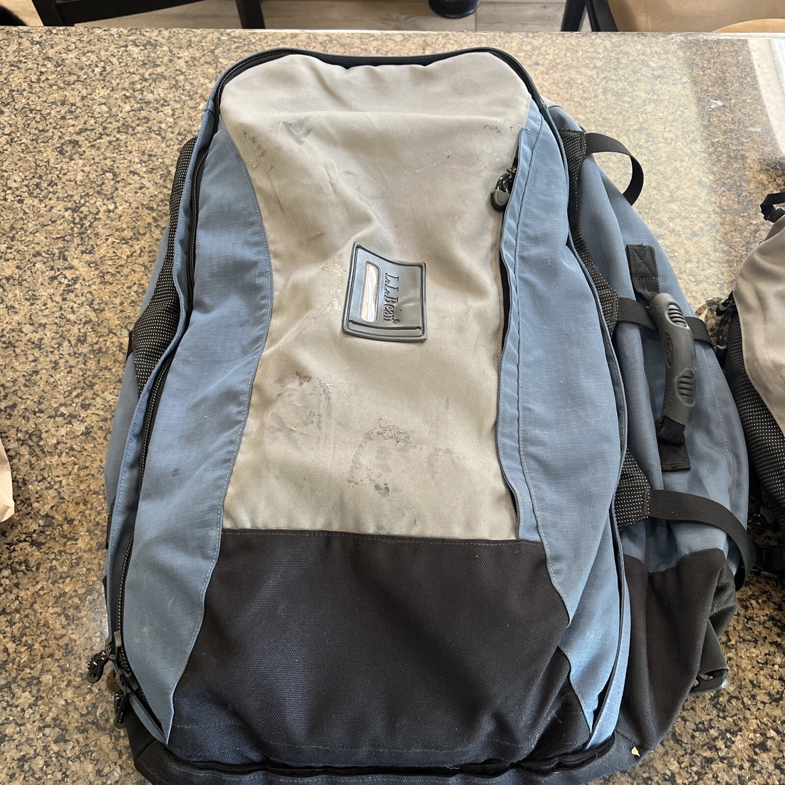 LL Bean Backpack With Bonus Pack