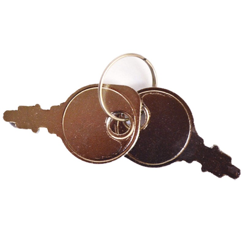 Ignition Switch 6 Terminals 2 Keys Compatible With Scag 48798 Toro 83-0020 gallery