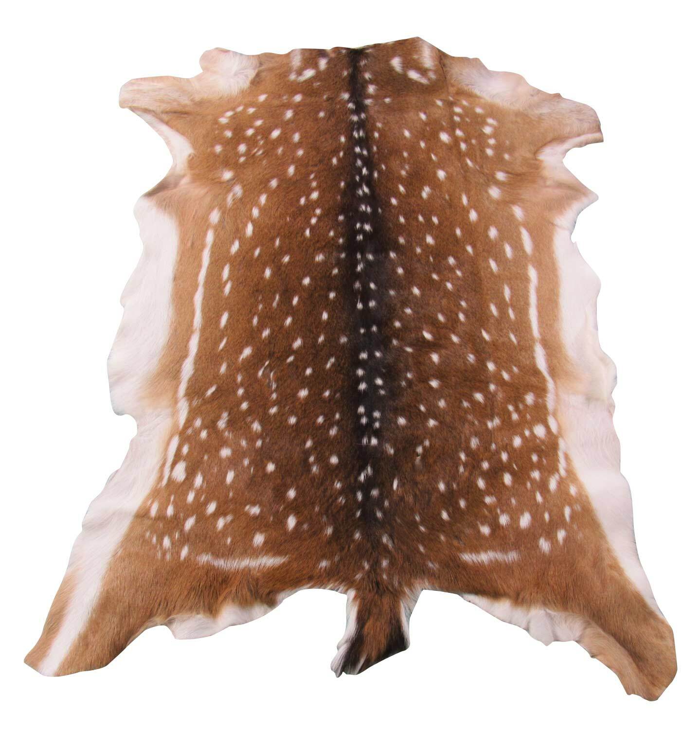 Deer Skin Axis Deer Hide Axis Deer Skin size: 39"X35" Cheetal Deer Antelope Rug gallery