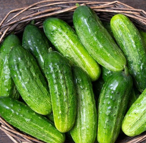 National Pickling Cucumber Seeds - Heirloom gallery