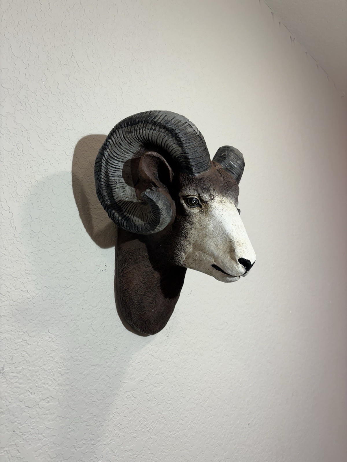 Wall Mounted Ram Head Sculpture Decor Ceramic gallery
