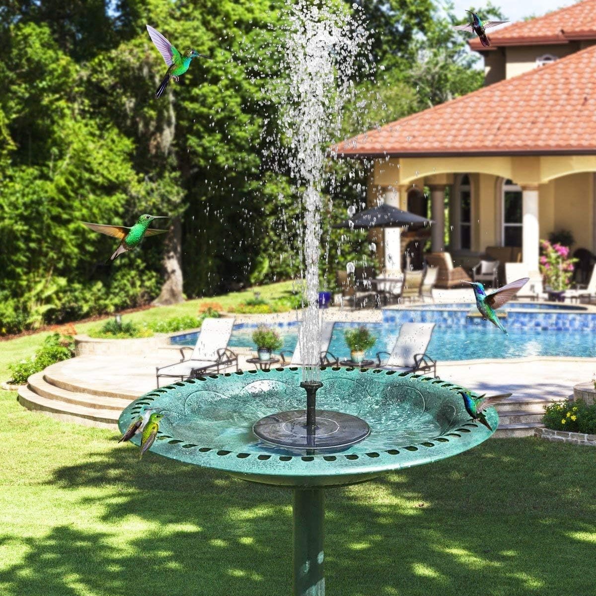 Solar Fountain Water Pump for Bird Bath, New Upgraded Mini Solar Powered Foun... gallery