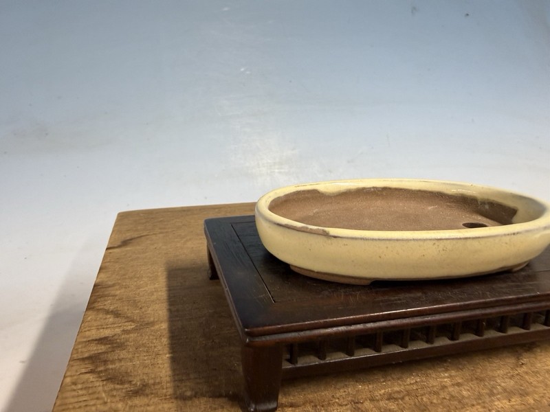 Japanese Unknown Maker Shohin Bonsai Tree Pot 4 1/2” Cream Glazed gallery