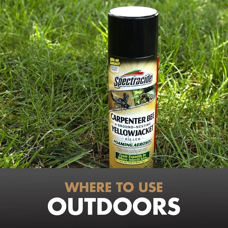 Spectracide Carpenter Bee & Nesting Yellowjacket Killer Spray 16Oz Each gallery