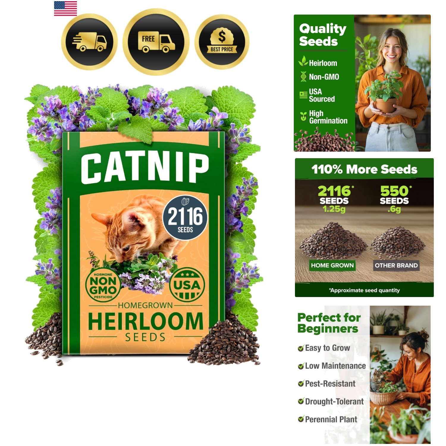 Catnip Seeds Bulk Pack Heirloom Non GMO Indoor Outdoor Herb 2116 Seeds gallery