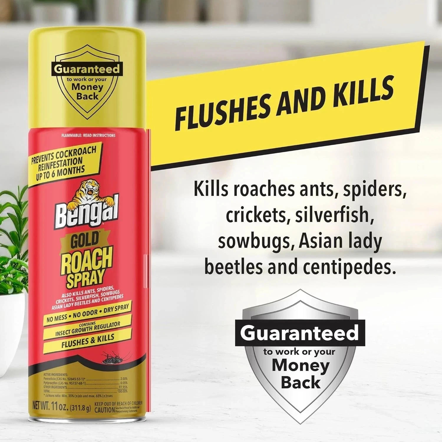 Bengal Gold Roach Spray - Odorless, Stain-Free Bug Spray for Home Prevents gallery