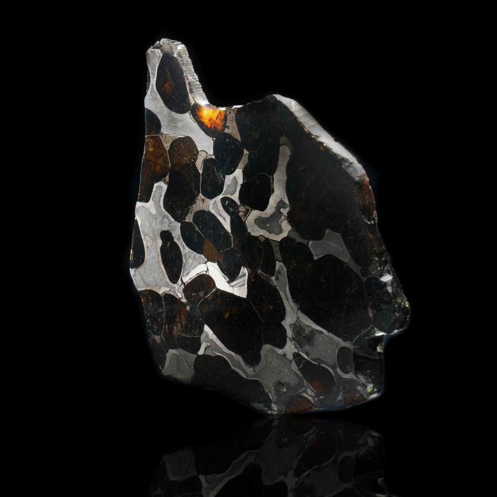 Authentic Brenham Pallasite Meteorite Slice - 24g Iron Nickel Matrix gallery