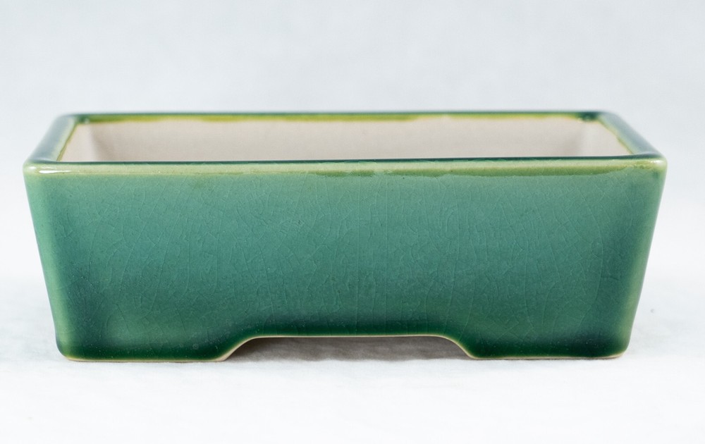 Fine Rectangular Green Cactus & Succulent, Shohin Bonsai Pot + Mesh 6"x 4.5"x 2"