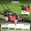 173CC Self Propelled Gas Lawn Mower, 20 Inch 4-Stroke Self Propelled Lawn Mower gallery