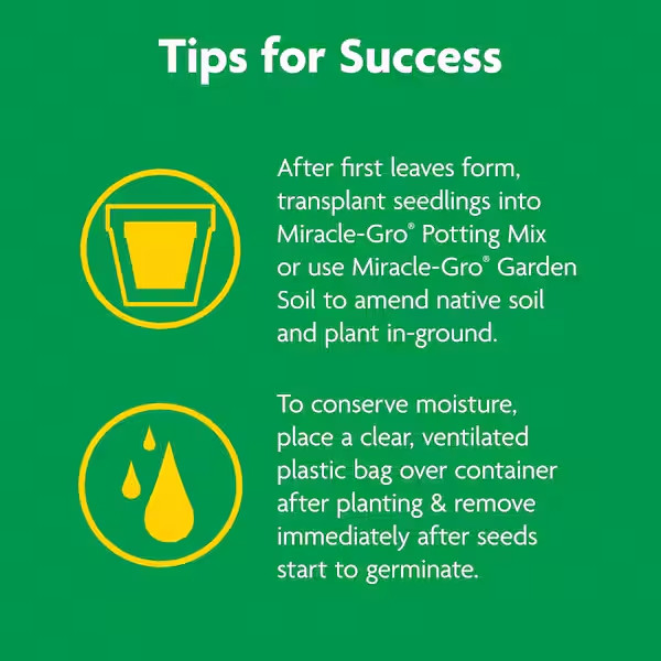 2-Pack Miracle-Gro Seed Starting Potting Soil Mix-16 Qt for Optimal Plant Growth gallery