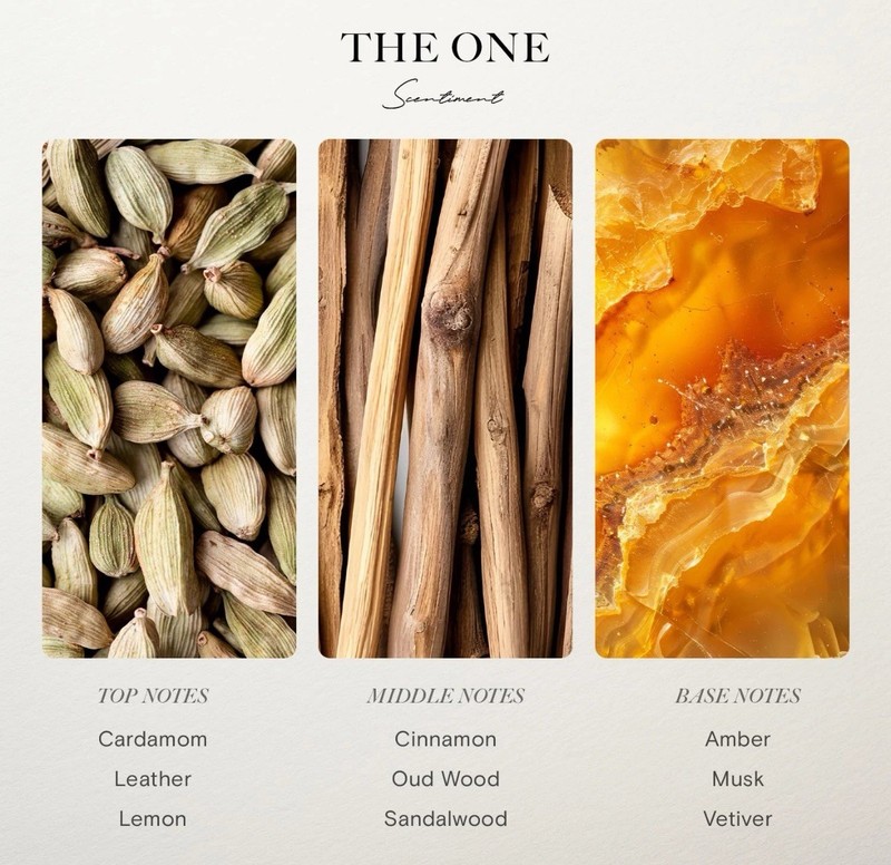 1 Pack Hotel Diffuser Oil | Aromatherapy Fragrances Inspired by 5-Star Hotels gallery