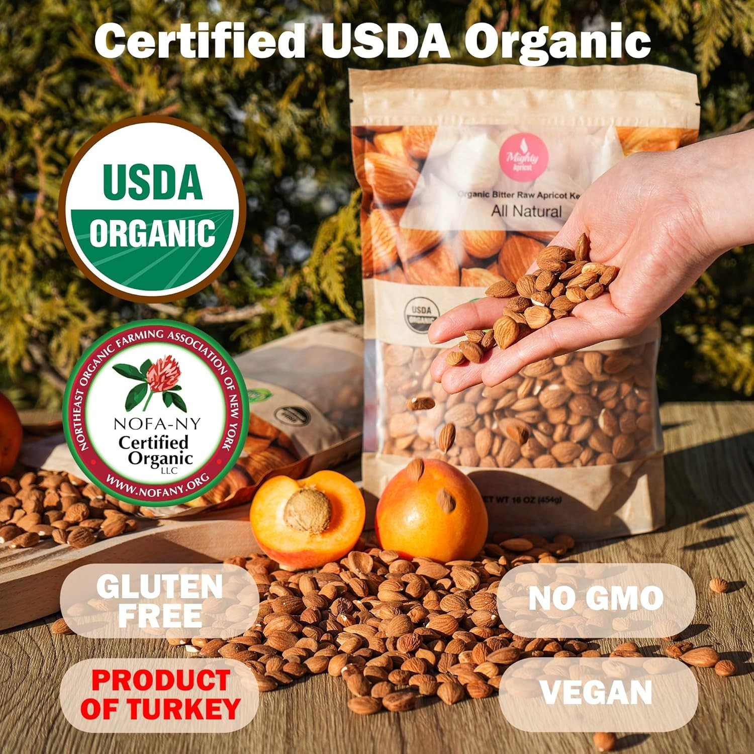 Mighty Apricot USDA Organic Bitter Apricot Kernels (1LB) 16 Oz gallery