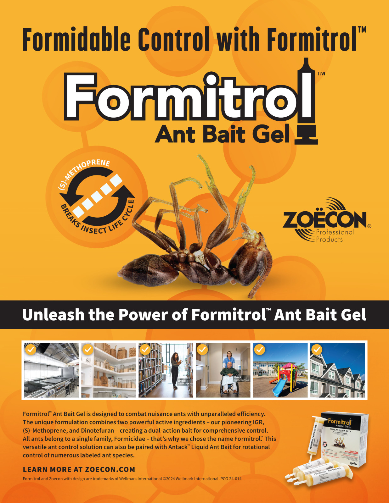 Formitrol Ant Bait Gel Controls Nuisance Ants - 1 Pack, 4 x 30g Tubes by Zoecon gallery