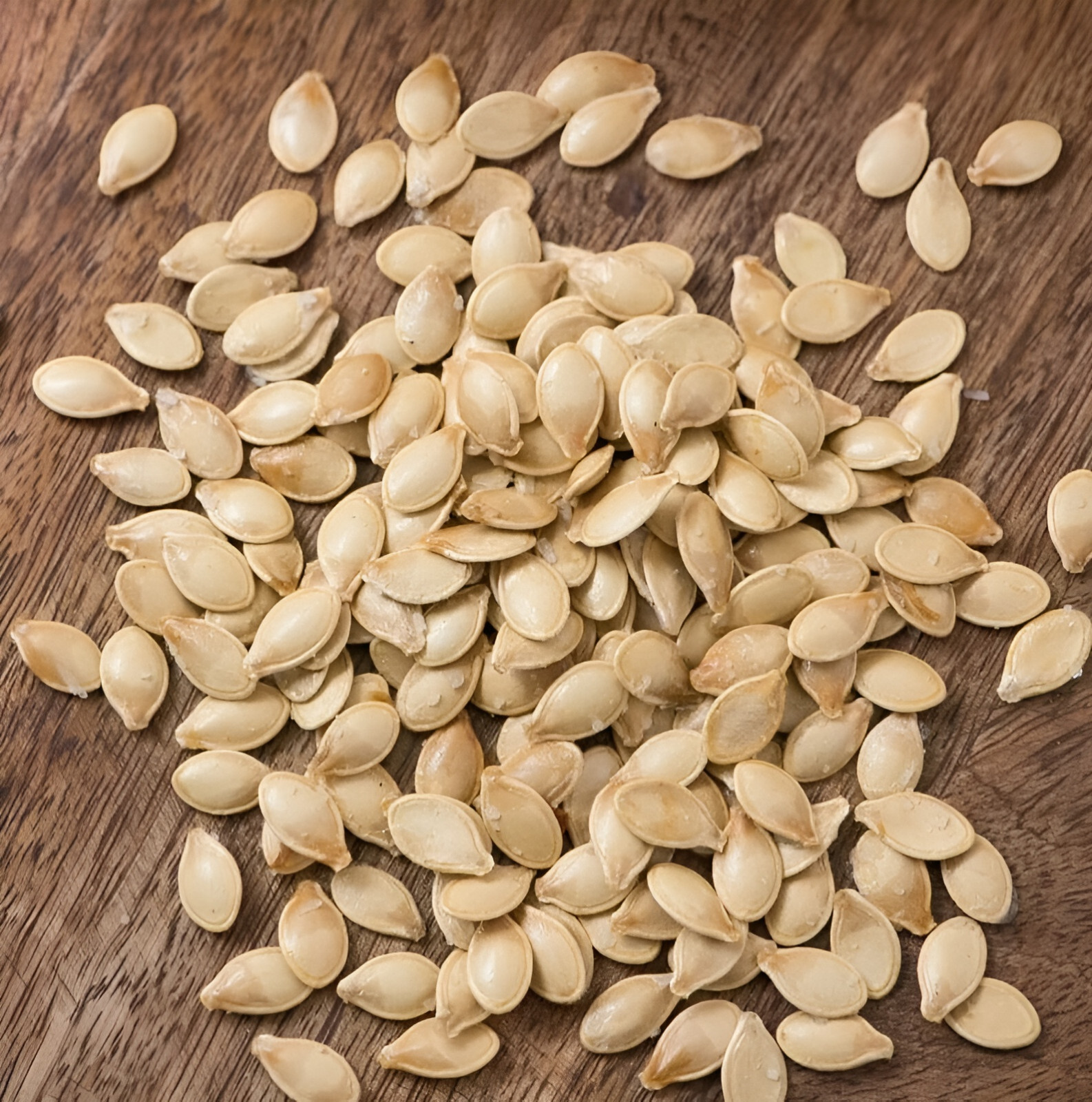 40 Heirloom Cocozelle Zucchini Seeds – Organic, High-Yielding Fast Growing!!! gallery