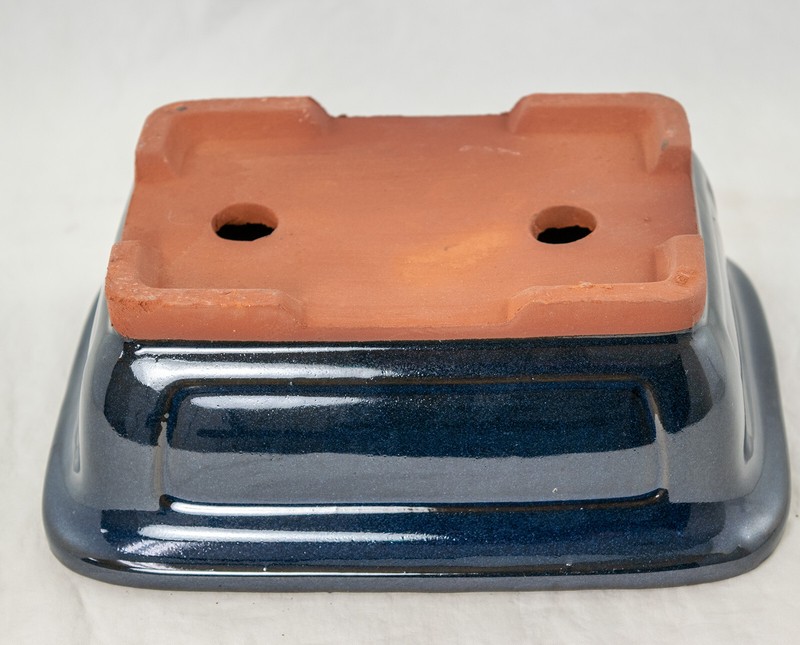 Rectangular Cactus & Succulent, Bonsai Pot 8"x 6"x 3" w/Mesh - Navy Blue Glazed gallery
