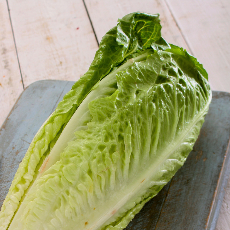 Fresh Crisp Giant Caesar Romaine Lettuce Seeds| Heirloom Non-GMO | Vegetables gallery