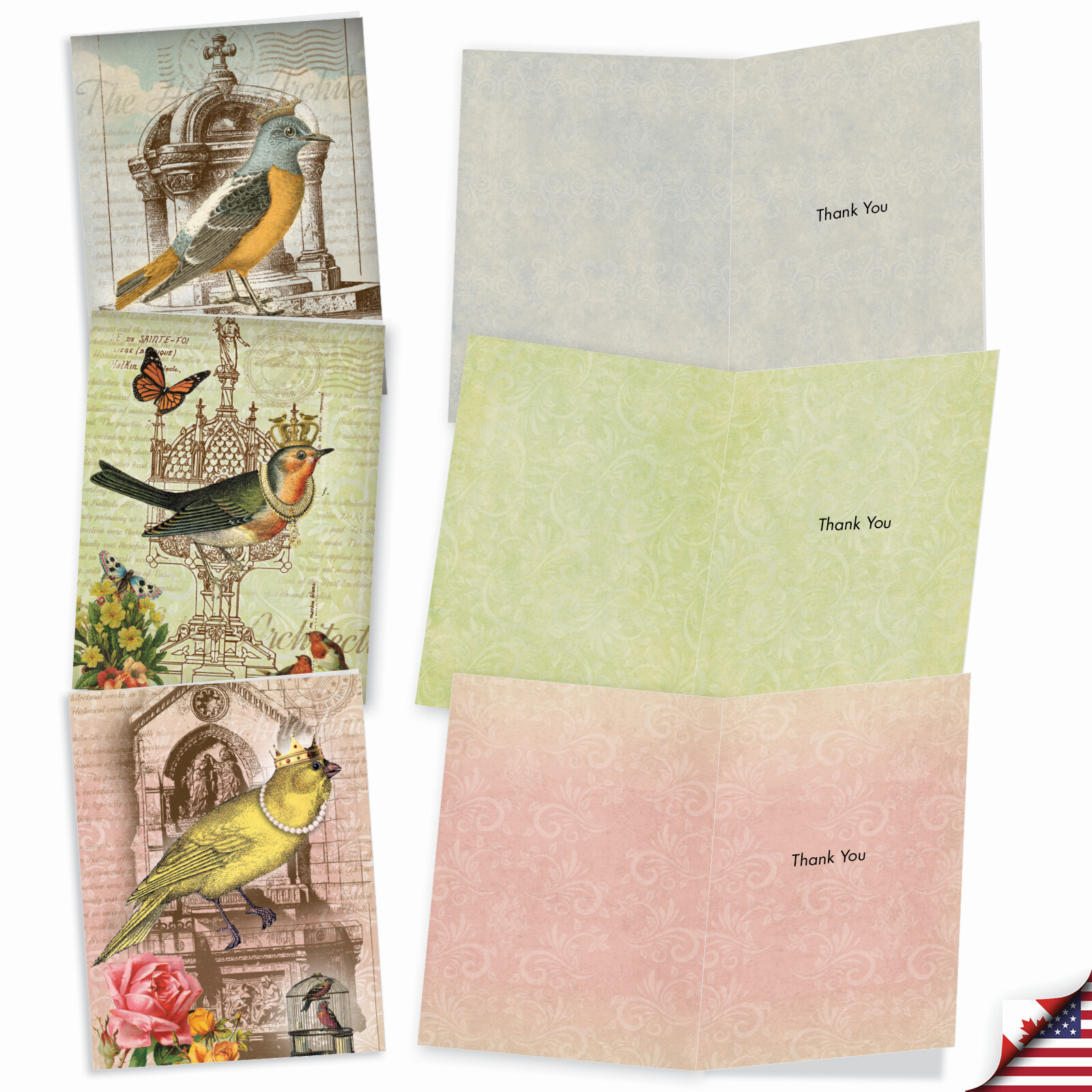 10 Assorted All Occasion Blank Note Cards with Envelopes - ROYAL BIRDS M2343OCB gallery