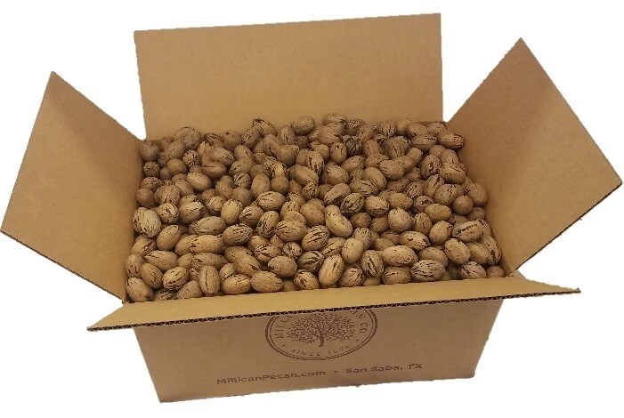 INSHELL Fresh Texas Pecans | 20 lb, 30 lb, or 50 lb Bulk | Millican Pecan gallery
