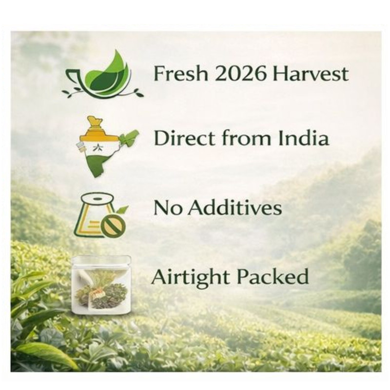 Darjeeling First Flush Tea 2026 Fresh Castleton STFGOP 1 Loose Leaf 250g/8.82OZ gallery