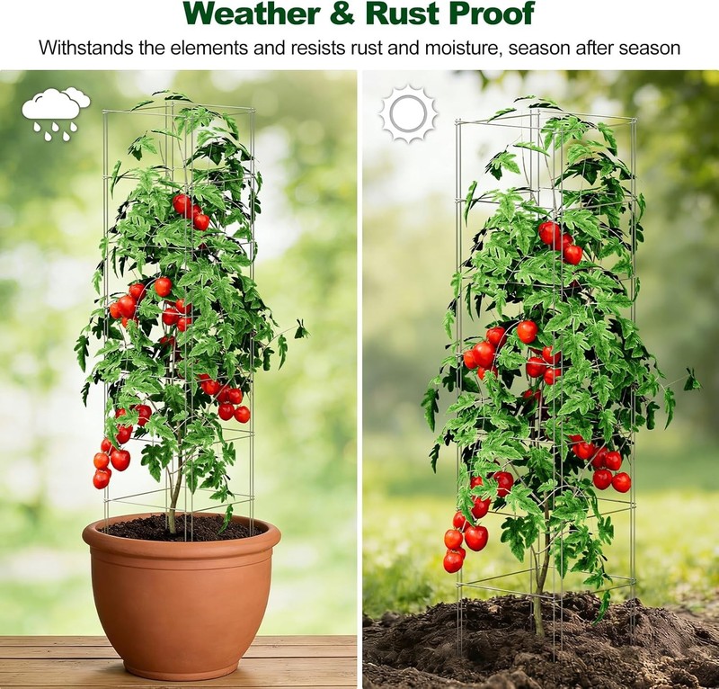 Square Foldable Tomato Cages 3 Pack, 13" W X 56" H Heavy Duty Galvanized Steel P gallery