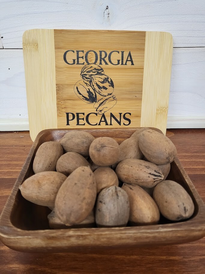 2023 Crop 5lb bag Georgia Grown In-Shell Desirable Pecans FREE SHIPPING gallery