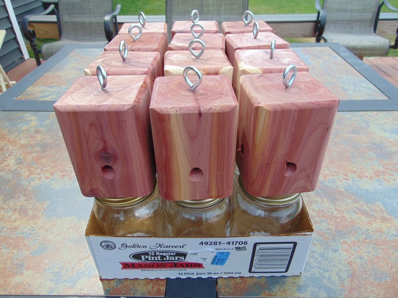 12 Red Cedar carpenter bee-bore cedar traps FREE SHIPPING gallery
