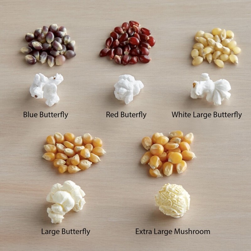 Extra Large Mushroom Popcorn Kernels, Non-GMO Made in US gallery